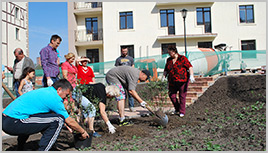 11-го сентября проходило озеленение жилого комплекса совместно с жителями Ключевого