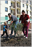 11-го сентября проходило озеленение жилого комплекса совместно с жителями Ключевого